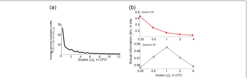 Figure 3 Speech signal spectral analysis.representation and speech message as a function of scale