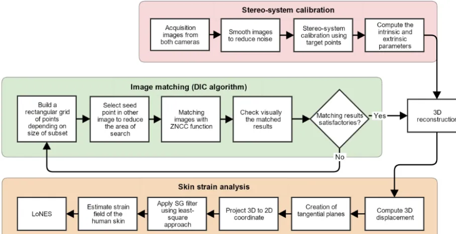 Figure 1. Flowchart of the methodology of 3D-DIC algorithm and skin strain analysis.
