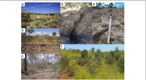 Table 2 Number, years, age, and size of the vegetation plots assessed, soil sampling depth, slopes assessed, and datasource