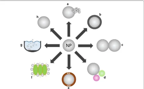 Fig. 2 Interactions and fate of NP in the environment considering (a) dissolution, (b) sulfidation, (c) homo-aggregation, (d) hetero-aggregation, (e) coating with NOM, (f) NP adsorption on biological surfaces, (g) sedimentation/deposition, and (h) persistence