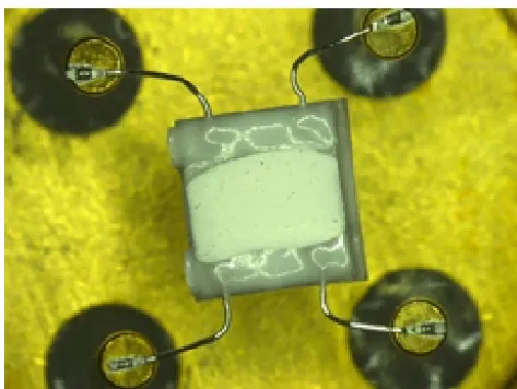 Figure 1. Optical micrograph of the sensor. The size of the sensorelement is 2 mm × 2.3 mm