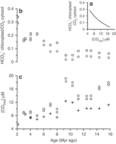 Figure 8 | Simulations of the effect of active HCO3the chloroplast on [COchloroplast as a function of HCObetweenfor [COproduction of thinner coccoliths (that is, a reduced PIC per cell surfacearea)