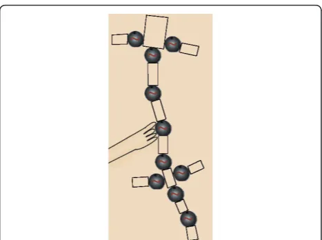 Figure 3 Intriguing scenario: force-feedback interaction with aneural oscillator in a Salamander CPG.