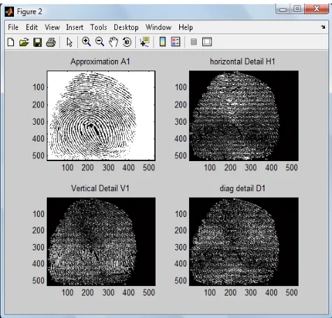 Figure 2.1: Fingerprint Image 