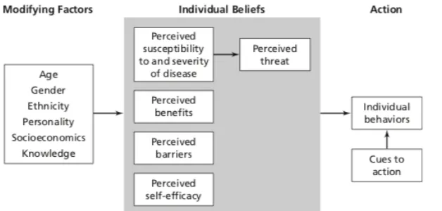 Figure 4: Health Belief Model Components and Linkages. Retrieved from  Champion & Skinner, 2008