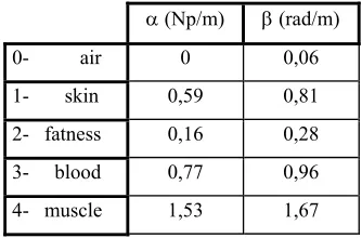 Table 2: Propagation wave constants in biological tissue 