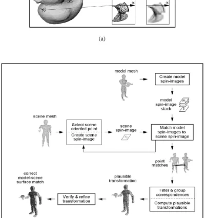 Figure 2.6: (a) Summary of how spin images are generated from various vertices; (b) the 