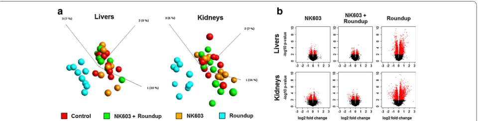 Fig. 1 Wide‑scale transcriptome profiles in liver and kidneys of NK603‑fed rats. Liver and kidneys from control rats and animals fed NK603 GM maize Each either with or without Roundup application during the cultivation cycle were subjected to a full microa