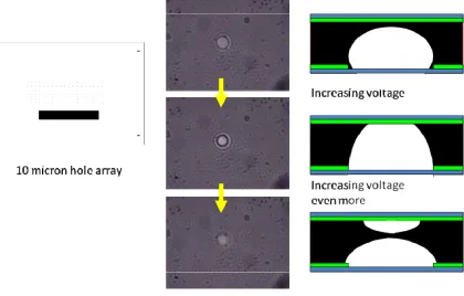 Figure 12. Miniaturized electrically adjustable iris. The iris has been miniaturized to 10 