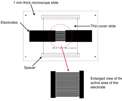 Figure 16. Schematic of the electrode pattern. The pattern is two combs facing each other