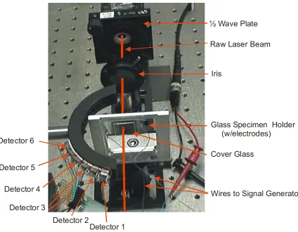 Figure 17. Diagram of the optical setup of bacteria scattering. A 633 nm laser from the 
