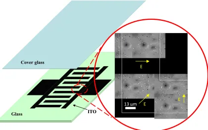 Figure 18. Schematic diagram of the specimen holder. A 1-mm-thick glass plate with a 