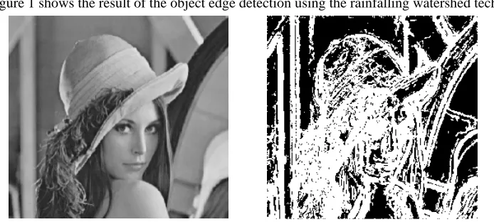 Figure 1 shows the result of the object edge detection using the rainfalling watershed technique