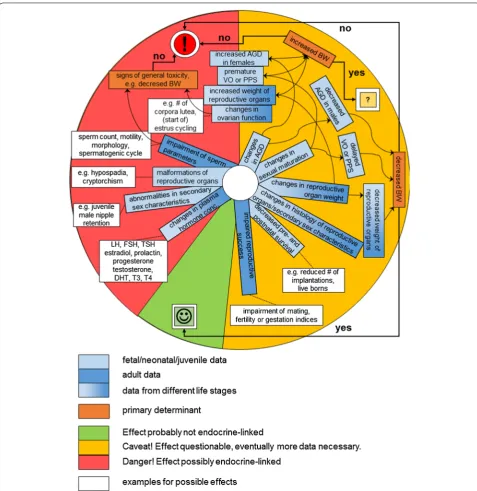 Fig. 1 Scheme for differentiation between general reproductive toxicity and interactions with endocrine systems based on a weight-of-evidence approach