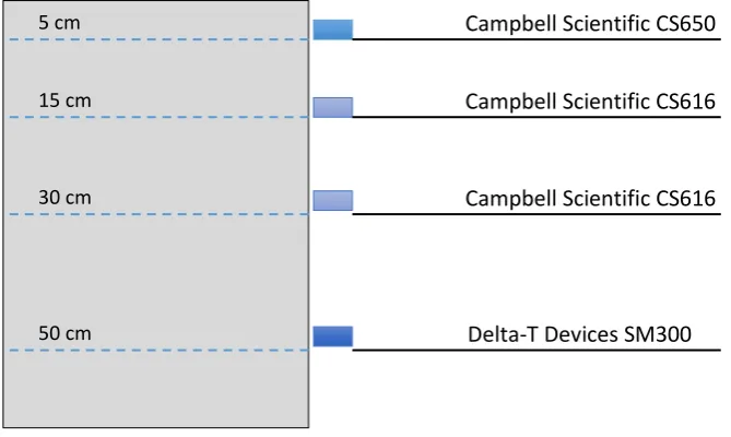 Figure 3 Lysimeter TDR distribution. 