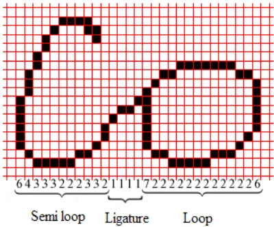 Figure 3: Loop/semi loop/ ligature detection in thinned image 