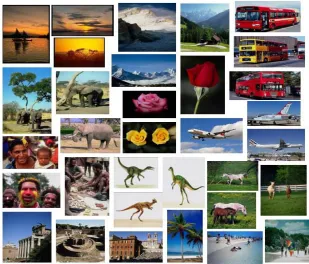 Table 2. Image Database: Category-wise Distribution 