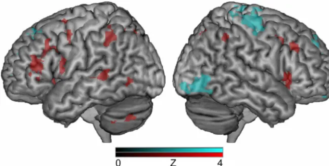 Figure 1.Activation maps for statistical comparisons of the two conditions (syllable vs gender) during the multisyllabic task:syllable order � gender identification (red), gender identification � syllable order (cyan).