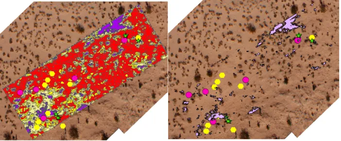 Figure 1:  Conversion of Raster to Vector w/ areas of interest highlighted 