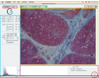 Fig. 4 / 1: Software user interface
