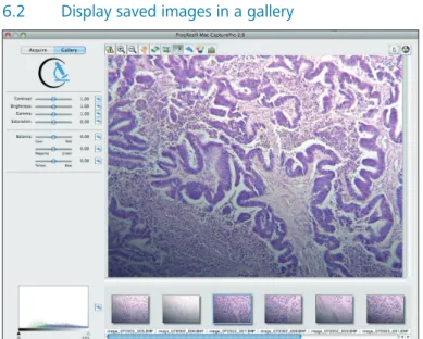 Fig. 6 / 3: Image screen with  gallery