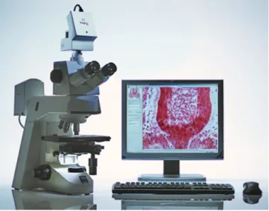 Fig. 1 / 1  Microscope Workstation with ProgRes ®  camera.
