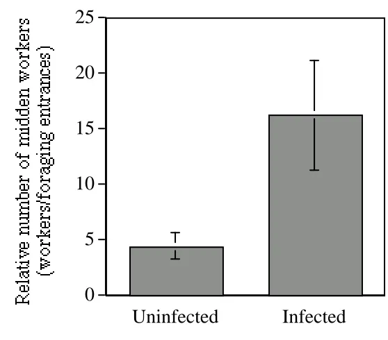 Figure 1 25
