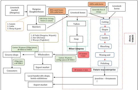 Figure 2 Bone and tallow value chain mapping in Hargeisa (Somaliland)