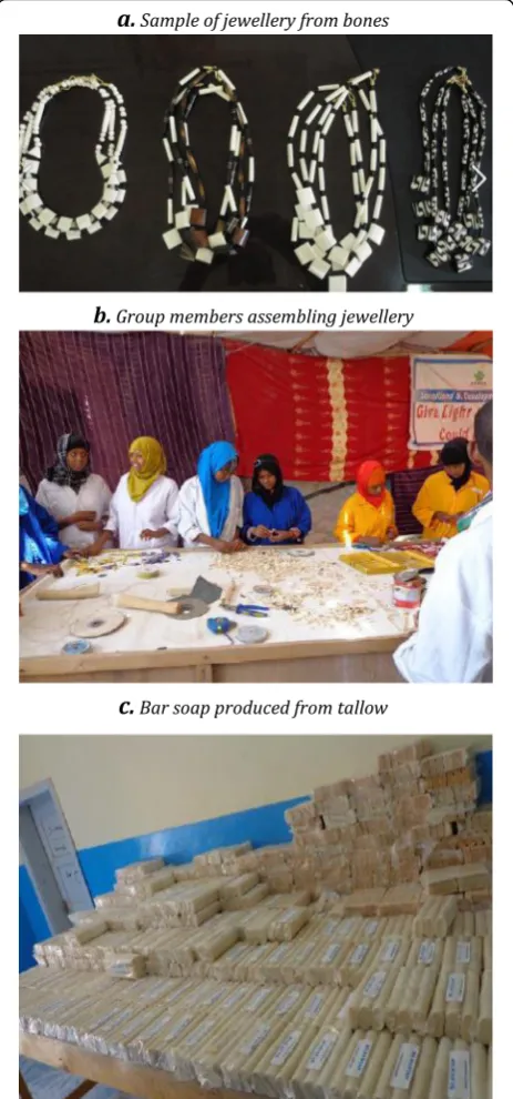 Figure 3 Display of some of the products reported to have beenprocessed by SOMDA from bones
