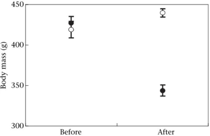 Figure 1. Mean  SE body mass of control (B) and experimental (C) birds before and after food restriction.