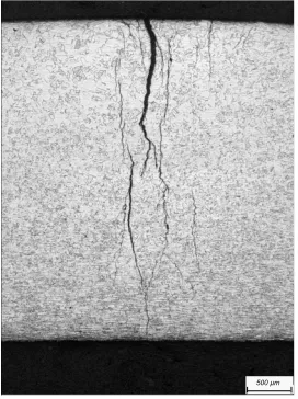 Figure 1.10: Micrograph of SCC defect showing complicated branching nature. Im-age courtesy of BP.