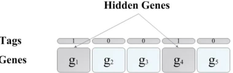 Figure 3.1: HGGA and the tags concept