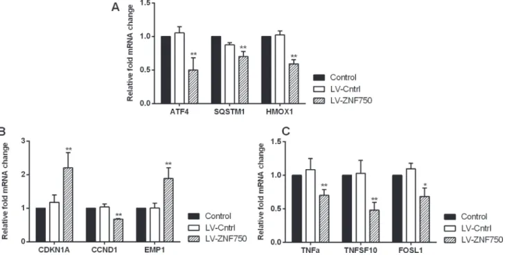 Figure 3:  The validation for selected candidate genes by qPCR (A–C). Data showed the relative mRNA fold changes of candidate 