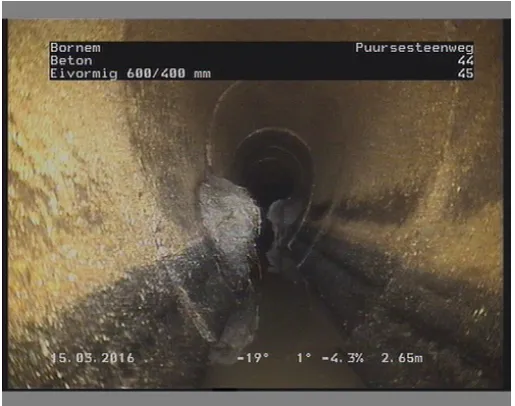 Figure 2.8: Root growth inside sewer pipe