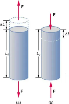 Figure 2.9: Deﬂection of a cylinder