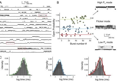 Figure 1.2: Modal behaviour of KcsA. (A) A continuous single-channel recordingoccur with random frequency