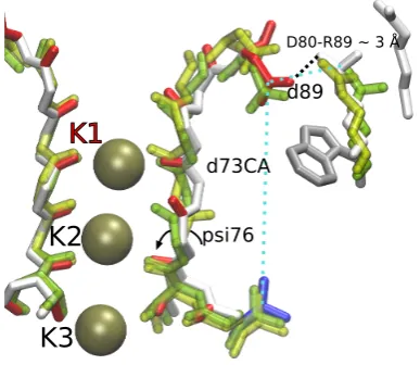 Figure 4.2:Superposition of relevant snapshots from the simulation of E71Aangle of residue D80; iv) K1, the ``z'' component of the position of the outermostwhich shows the link between the creation of the D80-R89 H-bond and rearrange-ments in the filter st