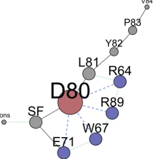 Fig. 4.15represent non-bonded electrostatic interactions that can eventually lead to strong H-bonds; ii) black lines represent connections through the backbone of the protein; iii)green dotted lines represent all the remaining non-bonded interactions, such as thesteric interactions or repulsions between positive or partially-positive charged groups.The sizes of the nodes are weighted according to the number of edges connecting each shows the network drawn following simple rules: i) blue dashed linesnode.