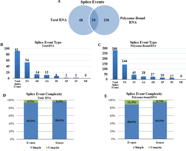 Figure 2: Radiation-induced alternative splice events in the transcriptome and the translatome