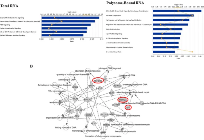 Figure 4: Functional analyses of radiation-induced alternative transcripts. (A) Canonical pathways as defined by IPA for  genes associated with radiation-induced changes in alternative transcripts in total RNA and polysome-bound RNA