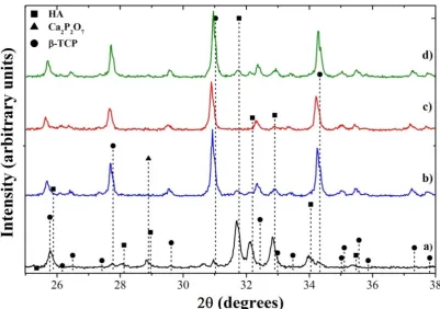 Figure 4.8: Influence of solute concentration and temperature on the crystal structure of HA heated to 600°C (a) AP09, (b) AP11, and (c) AP12  