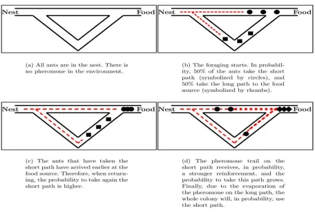 Figure 2.: An experimental setting that demonstrates the shortest path finding capability of ant colonies