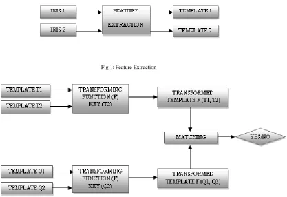 Fig 1: Feature Extraction             
