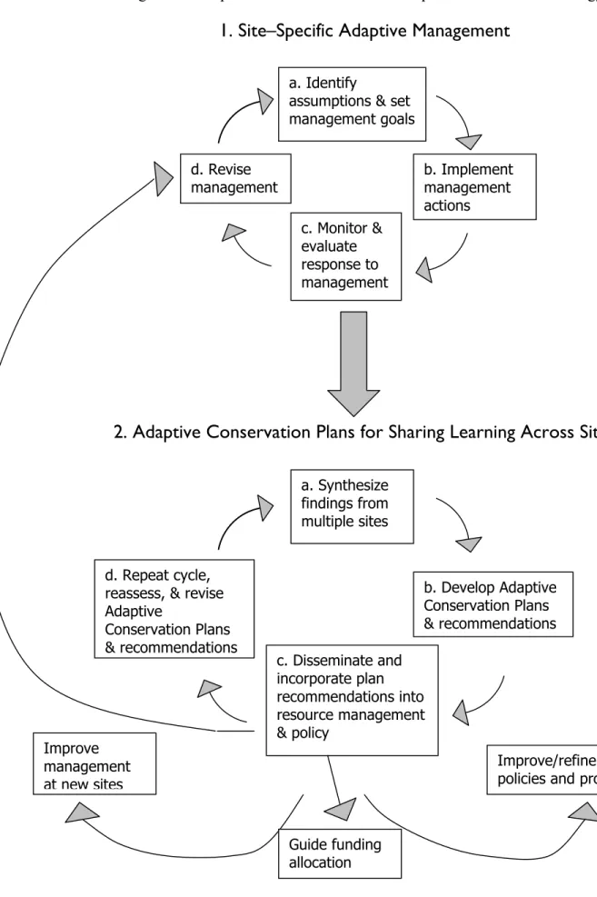 Figure 1: Components and Process of an Adaptive Conservation Strategy 