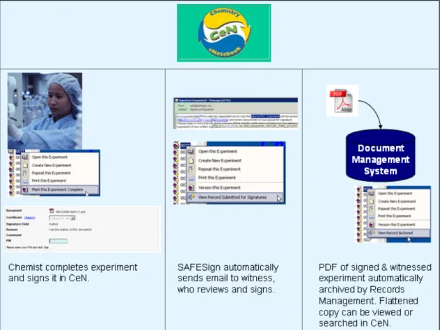 Figure 4 CeN and SAFE Signatures 