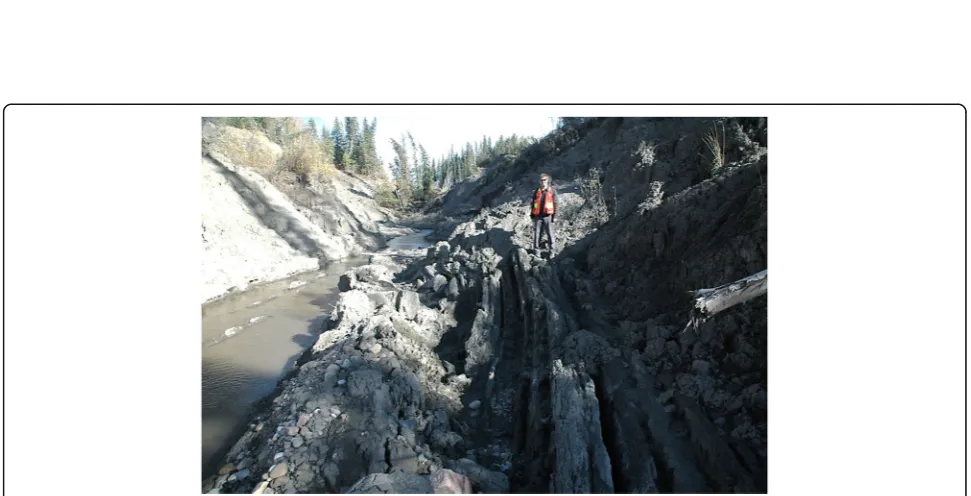 Fig. 2 Generalized stratigraphy found within buried preglacial valleys in the Peace River lowlands (right; modified after Morgan et al