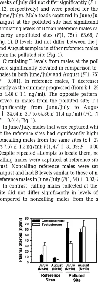 Fig. 1). B levels did not differ between the June/July and August samples in either reference males or males from the polluted site (Fig
