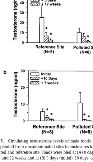 FIG. 5. Circulating testosterone levels of male toads, B. terrestris, transplanted from uncontaminated sites to enclosures located at the polluted and reference site