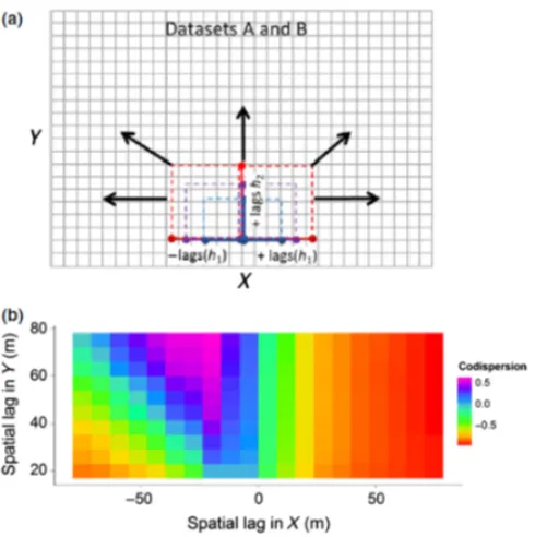 Figure 2.a) An illustration of the creation of directional spatial lags for two ecological datasets (A and B), organizedas rasterized surfaces