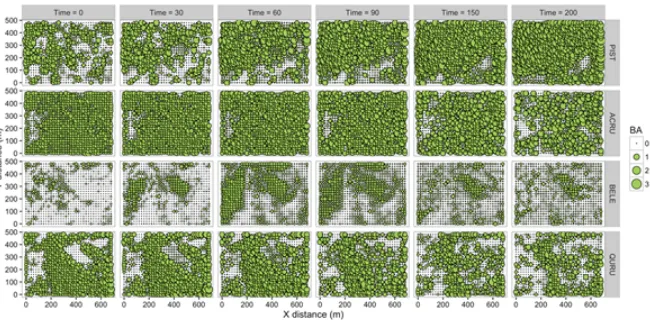 Figure 3.Scatterplots of abundance (number of individuals) and total basal area (forest dynamics plot (500m2) of white pine (PIST), redmaple (ACRU), black birch (BELE) and red oak (QURU) within 20 × 20m grid cells in the Harvard Forest 35-ha × 700m) at six